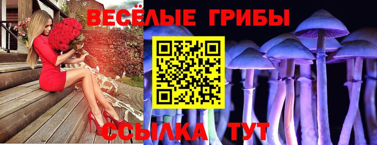 Нижний Новгород  Псилоцибиновые грибы мухоморы  Вход с VPN  Псилоцибиновые грибы прущие грибы 